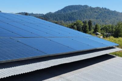 solar panel farm